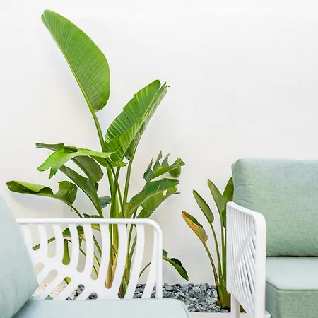 Nimar Luxury With Jacuzzi