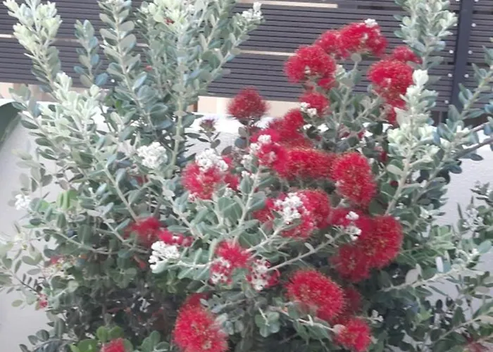 Nimar Luxury With Jacuzzi