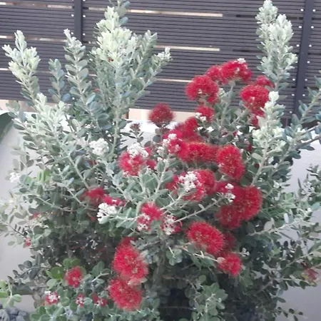 Nimar Luxury With Jacuzzi