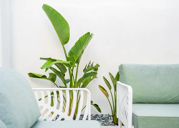 Nimar Luxury With Jacuzzi